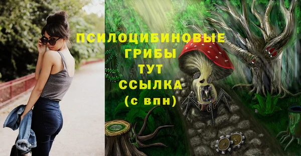 прущие крисы Алексин